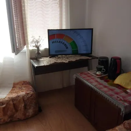 Viki Guest house