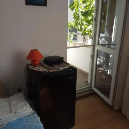 Viki Guest house *