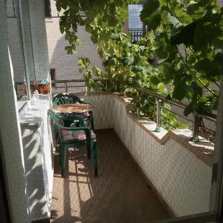 Къща за гости Viki