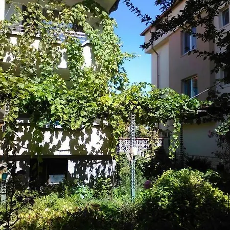 Viki Guest house
