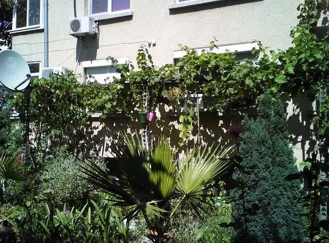 Къща за гости Viki