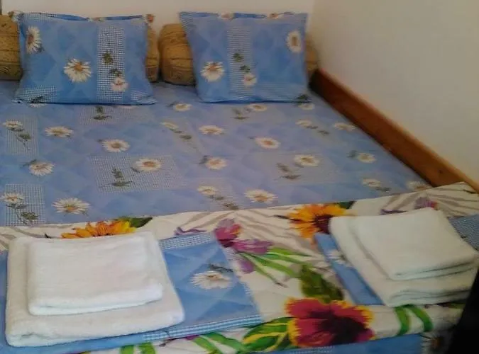 Viki בית הארחה